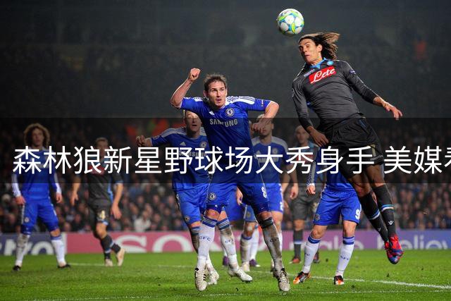 森林狼新星野球场大秀身手 美媒看好麦克丹尼尔斯新赛季迎蜕变